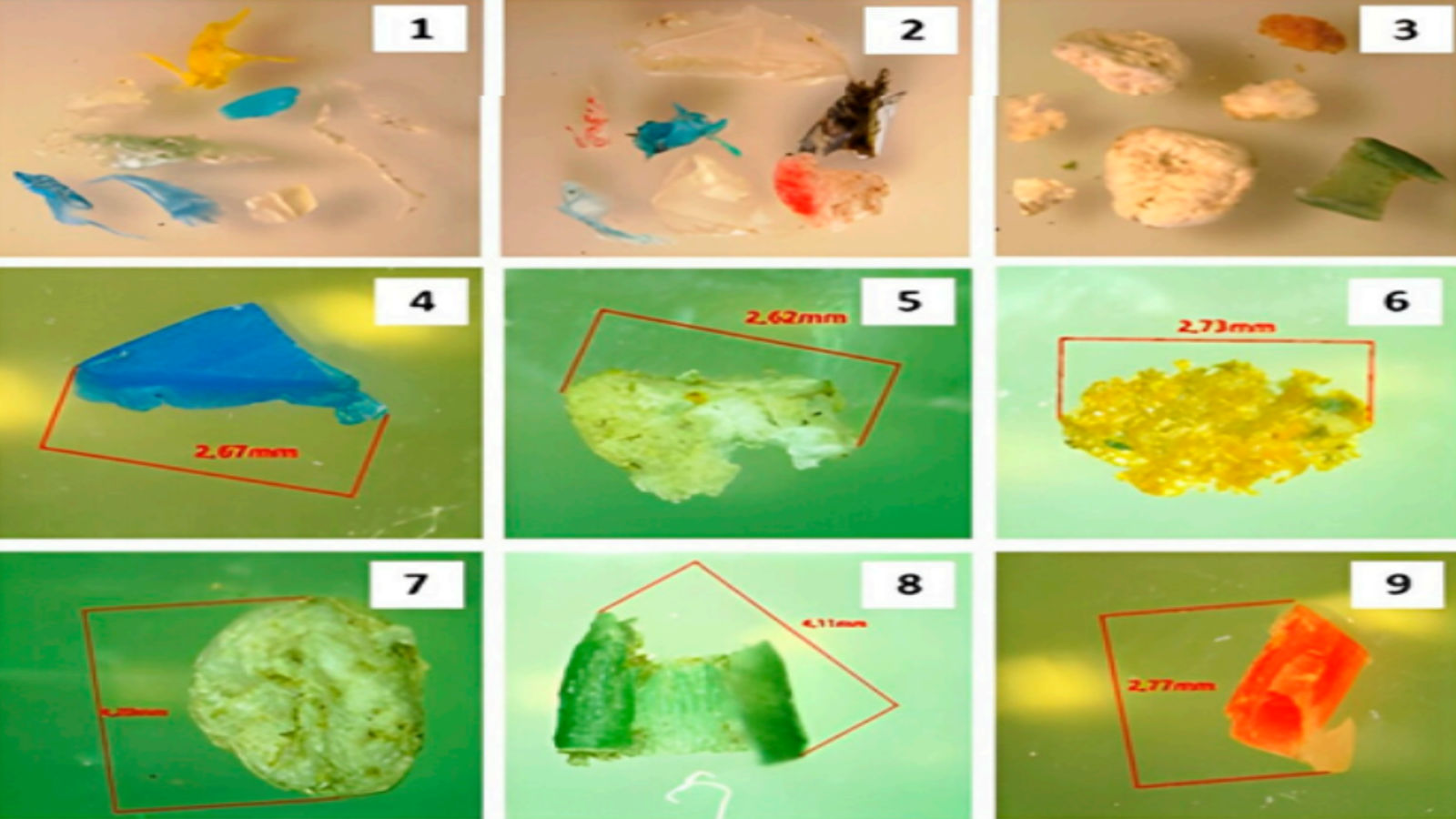Pollution of Beach Sands of the Ob River (Western Siberia) with Microplastics and Persistent Organic Pollutants 