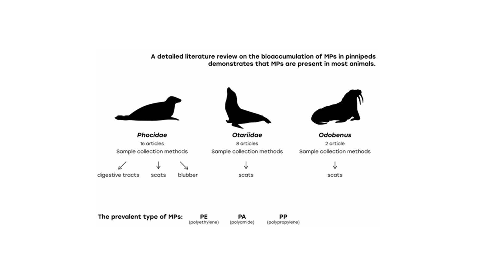 Microplastic Exposure for Pinnipeds (Pinnipedia): A Rapid Review